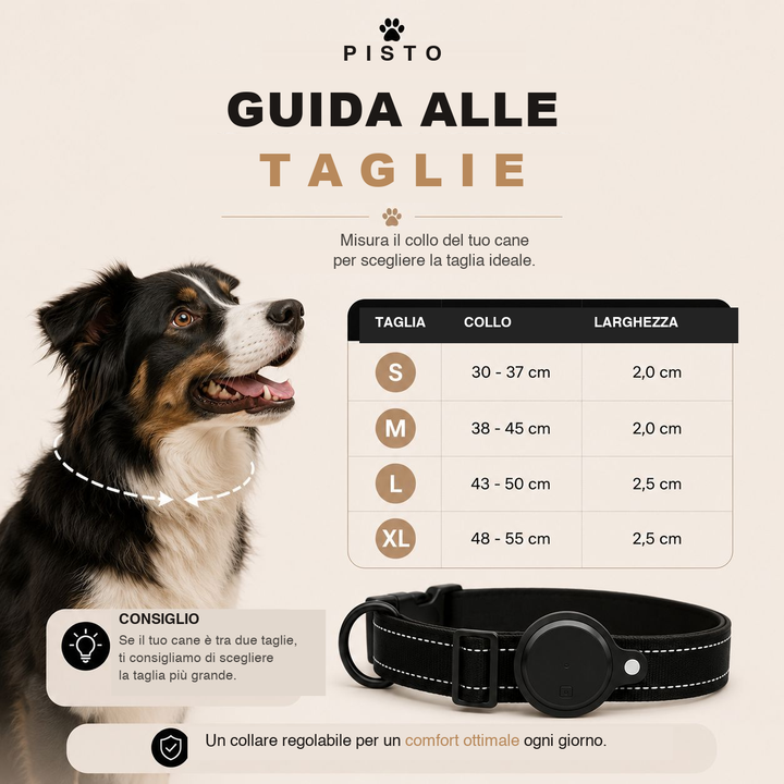 Guida alle taglie Pisto